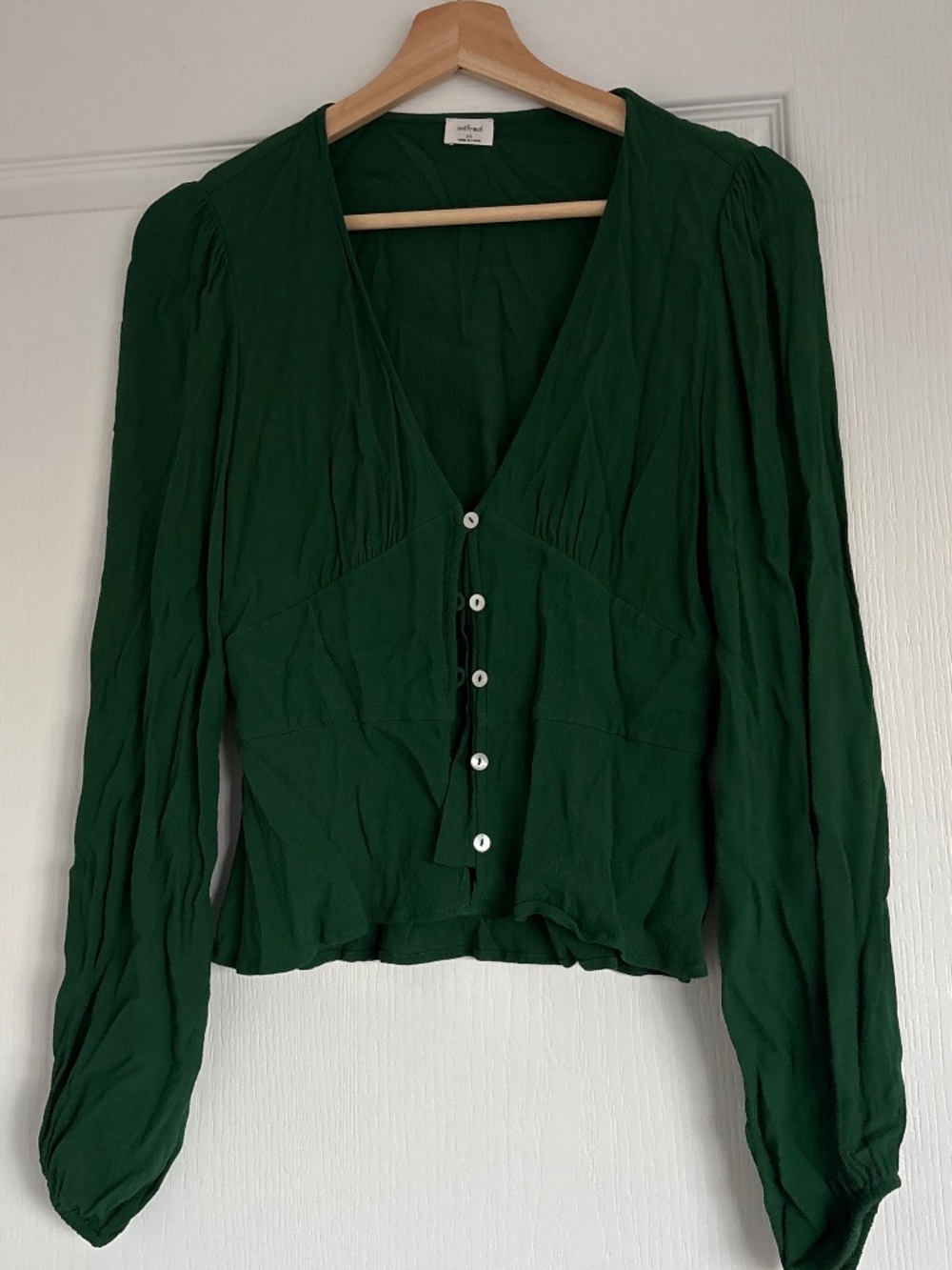 Aritzia Wilfred Green Button Sheer Blouse